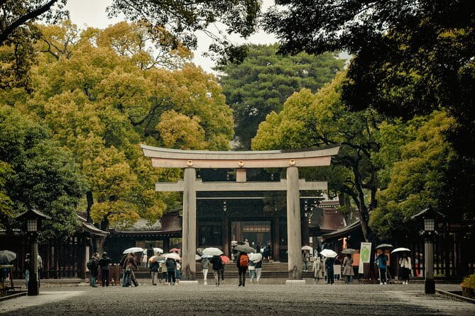 Tokyo Unlocked: A Private Day of Culture, Cuisine & City Secrets - Price and logistics: what you really pay for