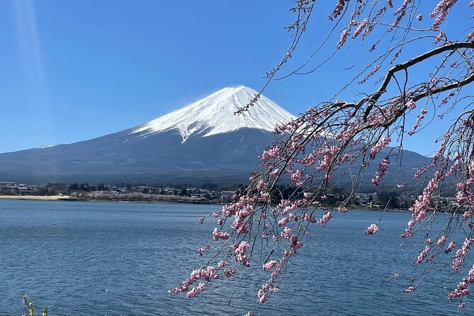 Tokyo Unlocked: A Private Day of Culture, Cuisine & City Secrets - FAQ