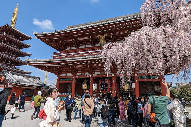 Tokyo VIP Guided Private Car Tour with Optional Airport Transfer - Key takeaways