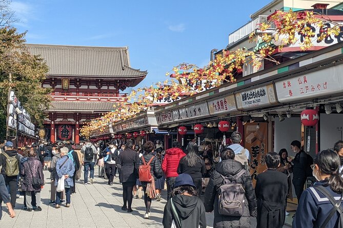 Tokyo VIP Guided Private Car Tour with Optional Airport Transfer - Price and value: when it’s a bargain and when it isn’t