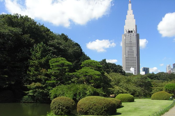 Tokyo VIP Guided Private Car Tour with Optional Airport Transfer - Skytree and Shibuya Sky: two ways to see Tokyo high up
