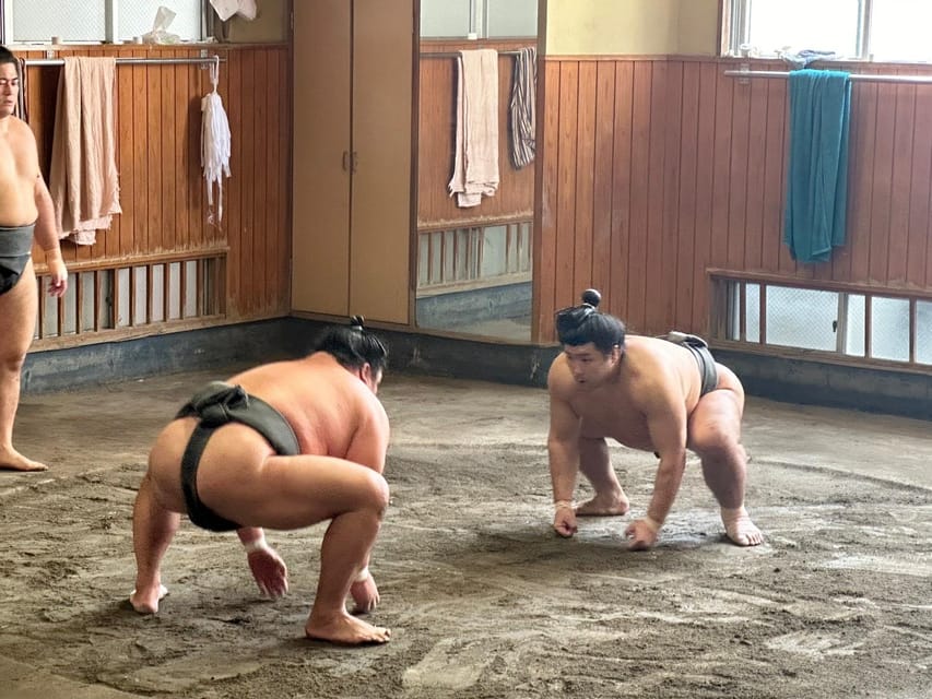 Tokyo: Visit Sumo Morning Practice with English Guide - Should you book the Takasago sumo morning practice tour?