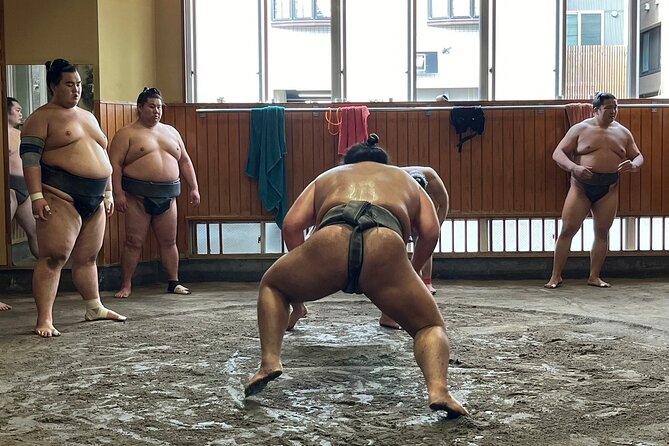 Tokyo: Visit Sumo Morning Practice with English Guide - Why Takasago-beya morning practice feels different