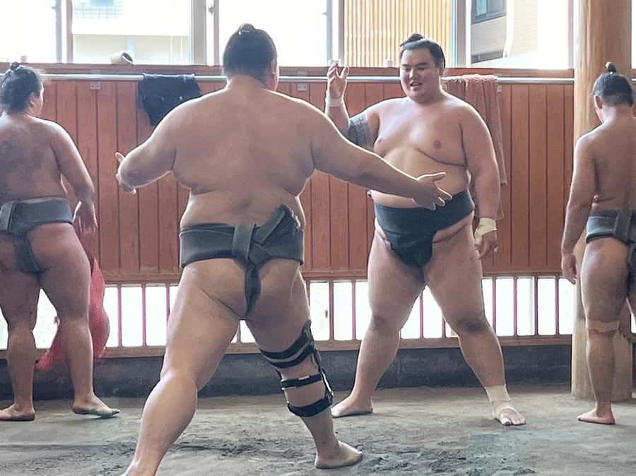 Tokyo: Visit Sumo Morning Practice with English Guide - Who should book this sumo morning practice