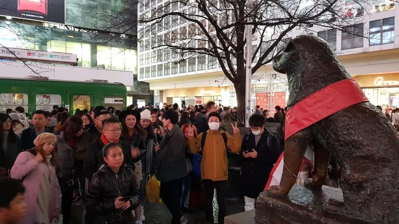 Tokyo Walk through: Shinjuku, Harajuku, Omotesando & Shibuya - Guides That Actually Shape the Day: Friendly, Practical, and Flexible