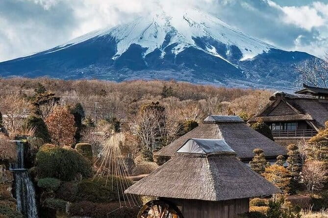 Tokyo Walking Tour : Sumo, Sushi, Tea, Temples and Tokyo Tower - Price and logistics: is $166.85 a smart deal?