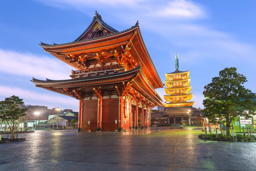Tokyo: Winter Illuminations Private Tour with a Local - Walking in Winter: Why This Tour’s Pace Feels Right