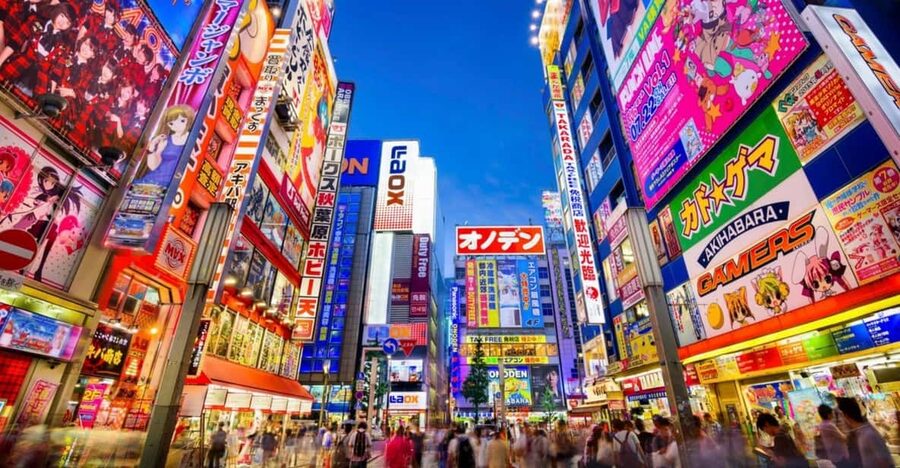 Tokyo: Winter Illuminations Private Tour with a Local - Guides You Can Expect: Friendly, Helpful, and Practical