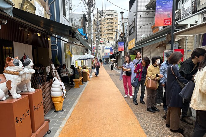 Tokyo : Yanaka and Nezu-Old Traditional Town Cultural Experience - Yanaka District Walk: Meiji to Showa Streets You Can Actually See