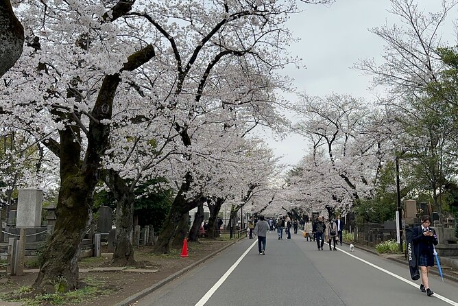 Tokyo : Yanaka and Nezu-Old Traditional Town Cultural Experience - The Old Cedar Tree, the Art Gallery Bath House, and a Sunset Staircase