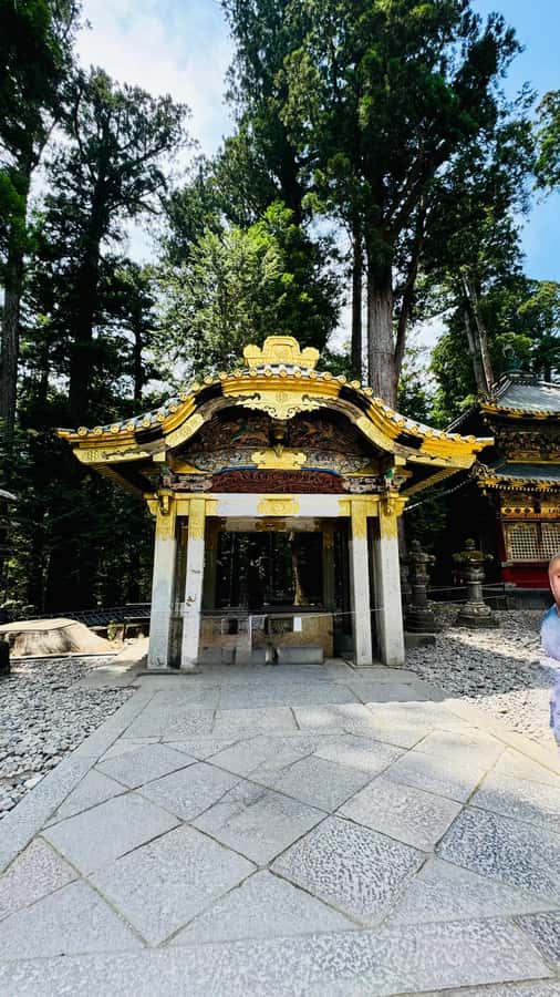 Tokyo/yokohama: Full Day Nikko Private Sightseeing Trip - Nikko Toshogu Shrine: Ornate History You Can Actually See