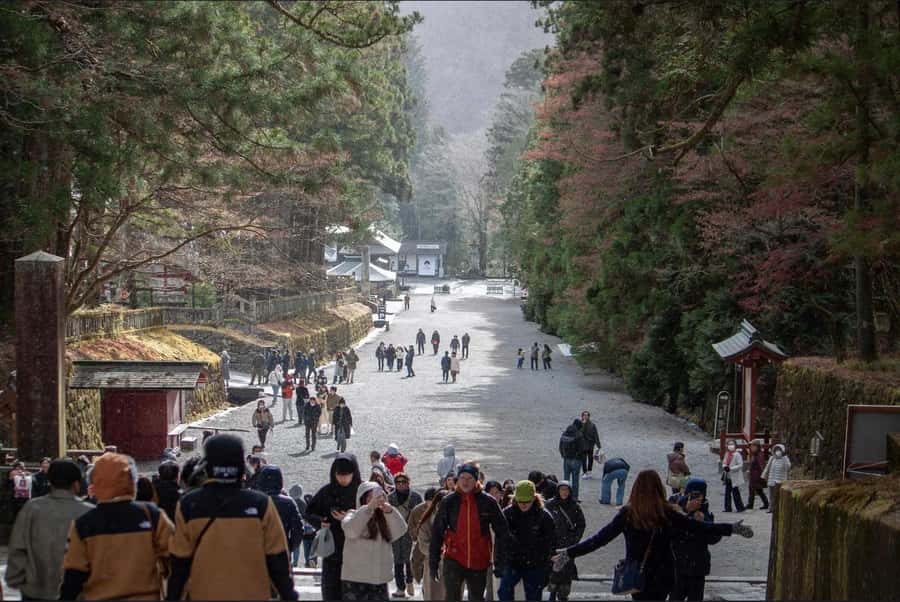 Tokyo/yokohama: Full Day Nikko Private Sightseeing Trip - Kegon Falls and Red Maples: Nature That Makes the Car Ride Worth It