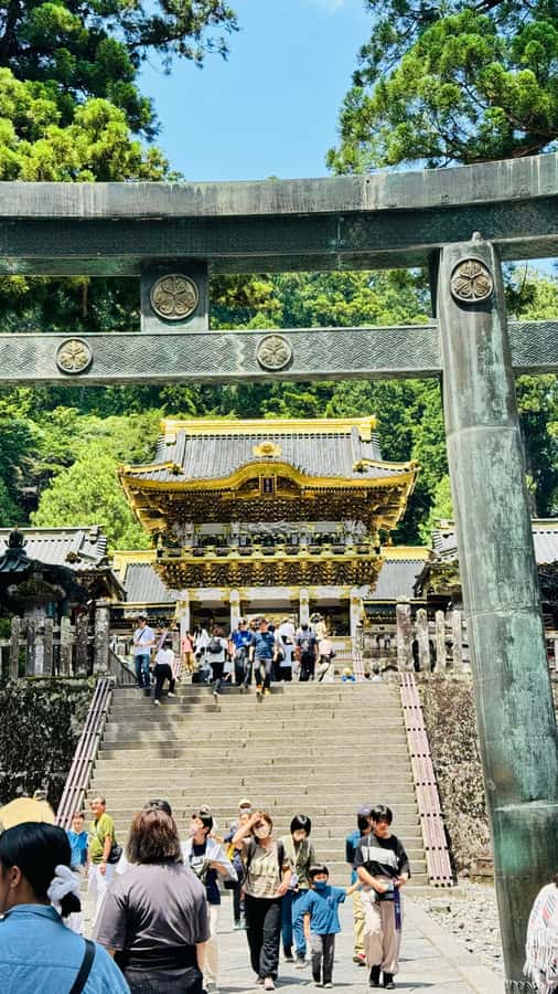 Tokyo/yokohama: Full Day Nikko Private Sightseeing Trip - Lake Chuzenji: The Calm Pause After Big Sights
