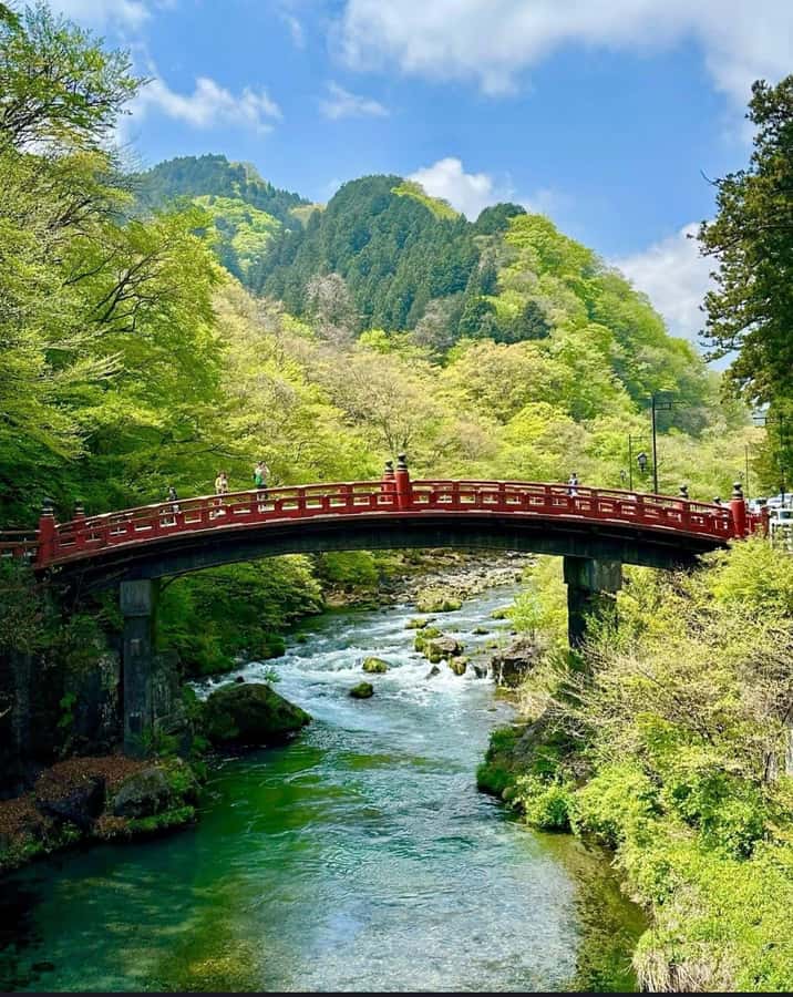 Tokyo/yokohama: Full Day Nikko Private Sightseeing Trip - Lunch Break and Real-Life Timing: How the Day Stays Comfortable
