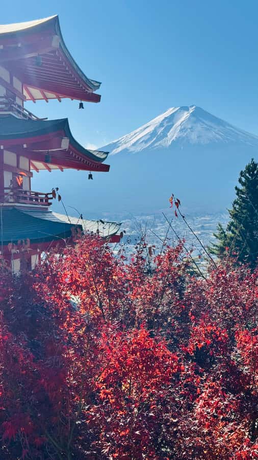 Tokyo/Yokohama: Mt. Fuji and Hakone Private Day Tour - How the day runs: 10 hours, wait times, and avoiding stress