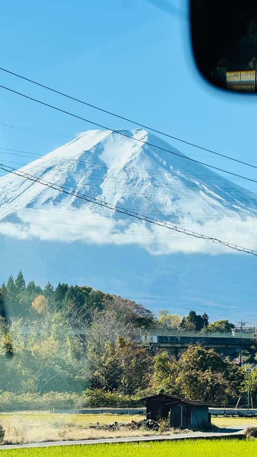Tokyo/Yokohama: Mt. Fuji and Hakone Private Day Tour - Choosing Fuji-only vs Hakone-only vs the full-day combo (A, B, or C)