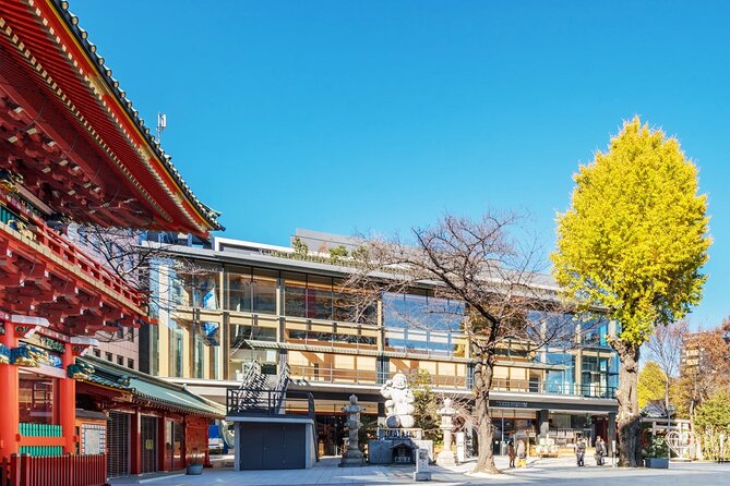 Traditional Japanese Comedy, Juggling & Magic Live Show in Tokyo - What you’ll actually do: learning the tricks, trying Daikagura and magic