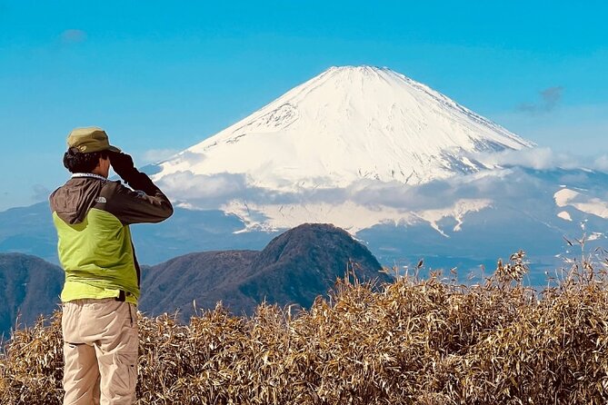 Traverse Outer Rim of Hakone Caldera and Enjoy Onsen Hiking Tour - Why Hakone’s outer rim hike feels like a whole day