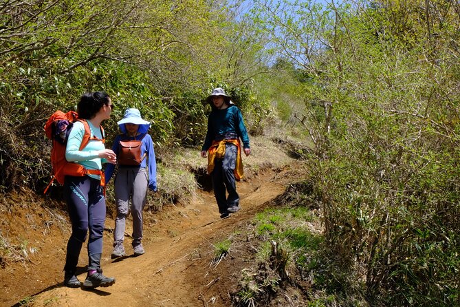 Traverse Outer Rim of Hakone Caldera and Enjoy Onsen Hiking Tour - Mt. Marudake ridge walk: Fuji if the weather cooperates
