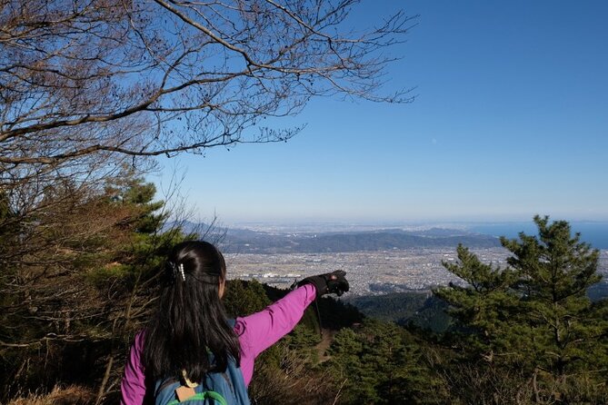 Traverse Outer Rim of Hakone Caldera and Enjoy Onsen Hiking Tour - Price and value: what you’re really paying for