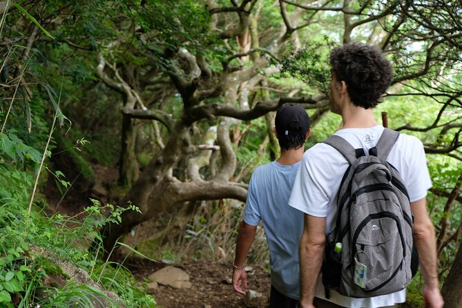 Traverse Outer Rim of Hakone Caldera and Enjoy Onsen Hiking Tour - Should you book this Outer-Rim onsen hiking tour?