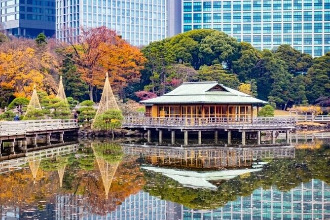 Tsukiji Food Strolling and Hama Rikyu Garden Walking Tour - What the Guide Quality Looks Like (From Real Names)