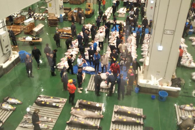 Tuna auction at Toyosu Market with qualified guide and early morning tour of Tsukiji Outer Market - Tsukiji Jogai (Outer Market): Free Tastings and Practical Food Shopping