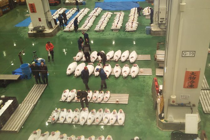 Tuna auction at Toyosu Market with qualified guide and early morning tour of Tsukiji Outer Market - What You’re Paying For: Is $216.77 Good Value?