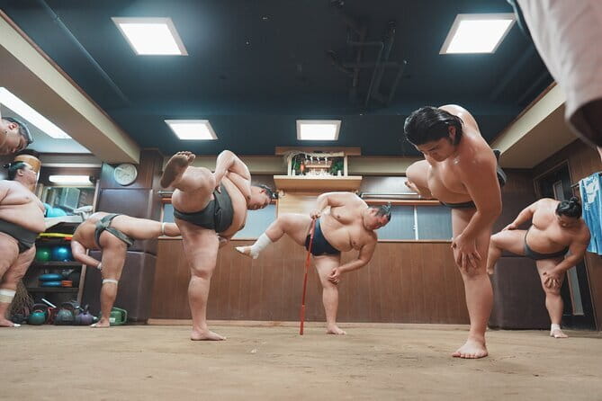 Unique Afternoon Live Sumo training tour in Tokyo - Key things to know before you go