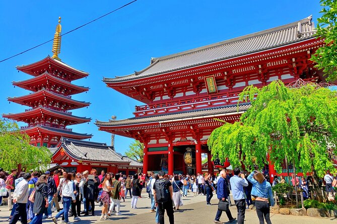 Unlock Hidden Tokyo: Private Custom Tour with a Local guide - Imperial Palace: a calm start with a very “Tokyo” first impression