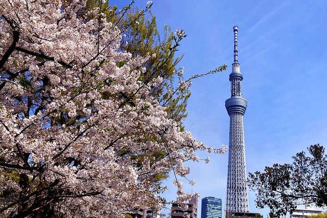 Unlock Hidden Tokyo: Private Custom Tour with a Local guide - Ginza in 30 minutes: shopping without the full-day commitment