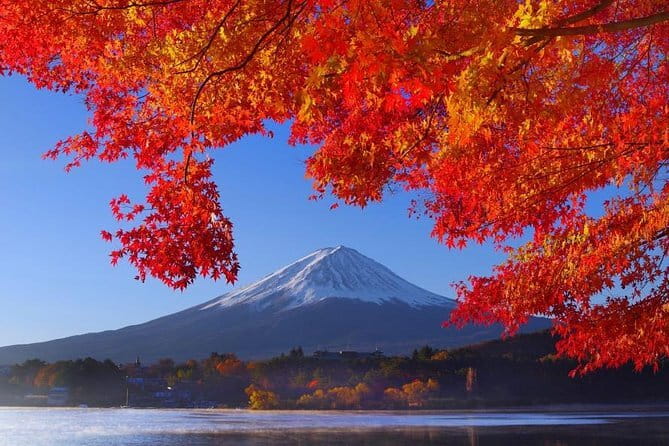 View of Mt. Fuji is good! Sushi making experience class - Mount Fuji Classroom Near Kawaguchiko Station