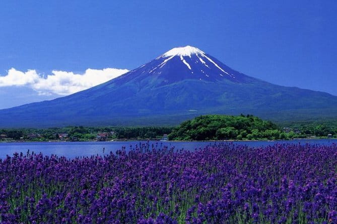 View of Mt. Fuji is good! Sushi making experience class - Your 3-Hour Sushi Game Plan (Rice, Sushi, Then Eating)
