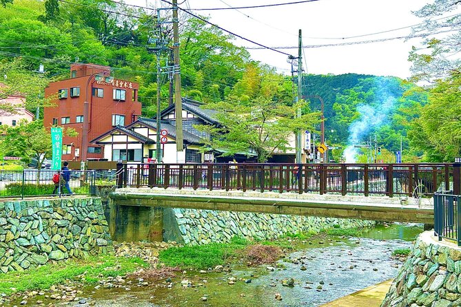 Walking Tour Mount Takao : Nature and Tradition in Tokyo - Takaosan Yakuo-in Yuki-ji Temple: Buddhism with a long timeline