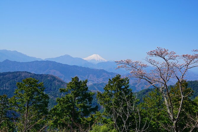 Walking Tour Mount Takao : Nature and Tradition in Tokyo - Walking time and moderate fitness: what to plan for