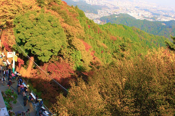 Walking Tour Mount Takao : Nature and Tradition in Tokyo - Price and included value: where your money goes