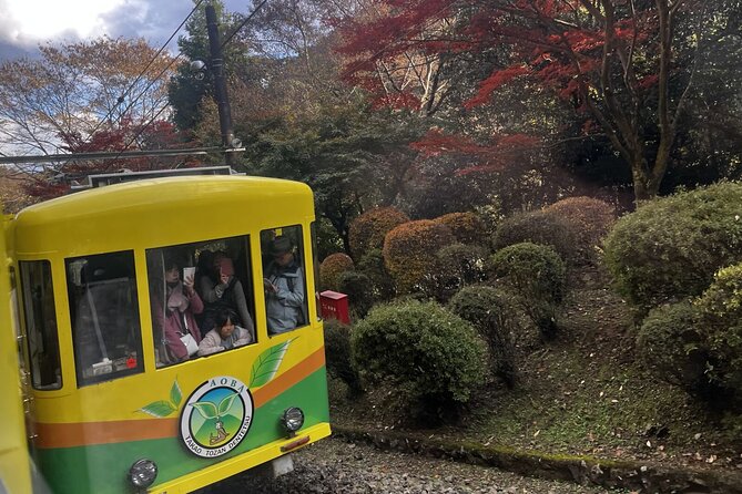 Walking Tour Mount Takao : Nature and Tradition in Tokyo - Practical tips to make the most of Mount Takao