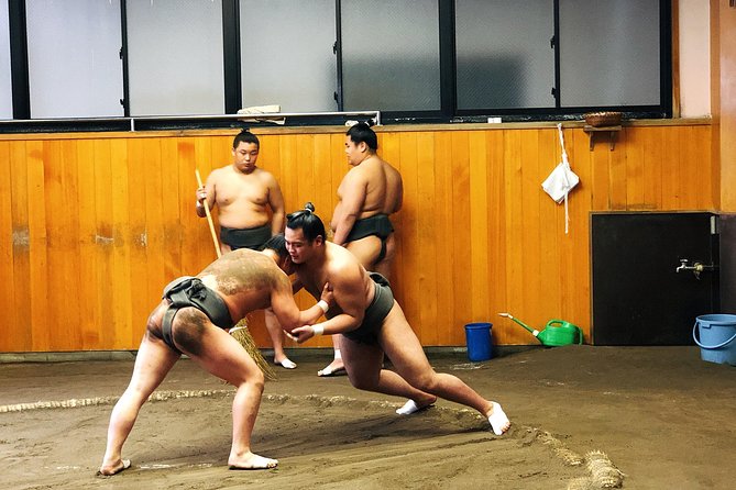 Watch Sumo Morning Practice at Stable in Tokyo - Inside the stable: warm-ups, technique, and the rhythm of the dohyo