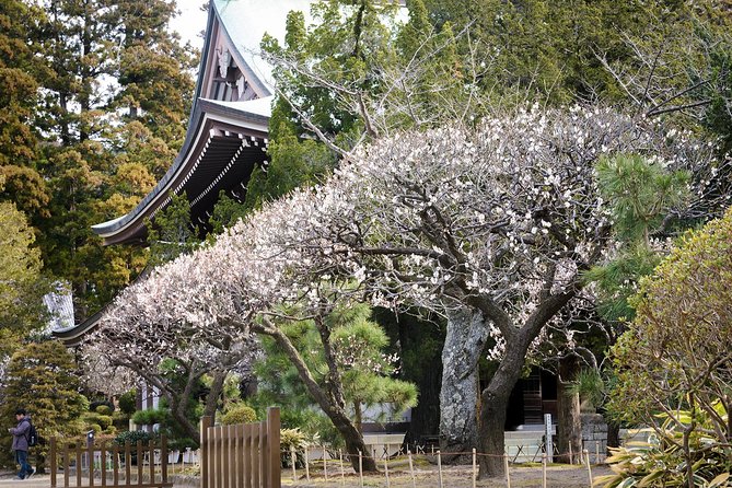 When Emperors Reigned and Shoguns Ruled - Tsurugaoka Hachimangu: Minamoto Yoritomo and the Power Shift