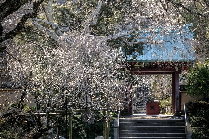 When Emperors Reigned and Shoguns Ruled - Komachidori Shopping Street: Modern Kamakura in Full Color