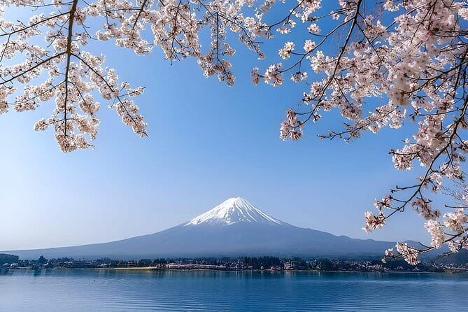 Wonderful Peaks & Peace: Mt. Fuji, Fuji Stupa & Hakone Tour - Key Things You’ll Notice on This Fuji + Peace Tour