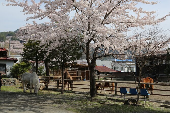 Yabusame Adventure with Mt. Fuji Views - Omurosengenjinja-Jinmesha: Traditional Dressing and a Shrine Setting