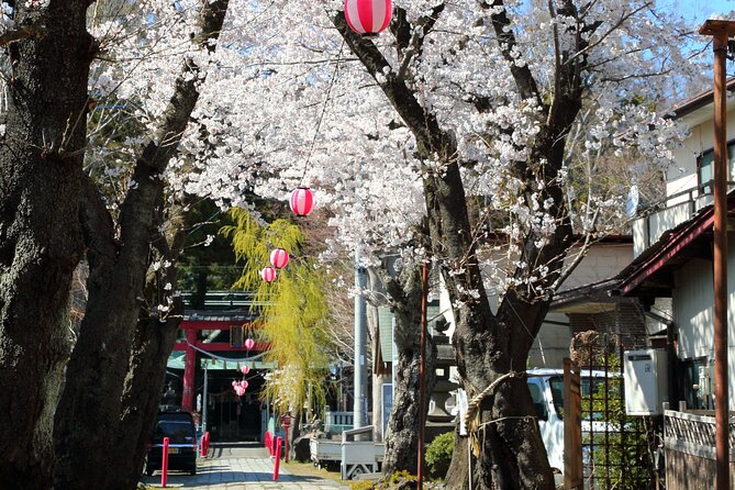 Yabusame Adventure with Mt. Fuji Views - Who Should Book This (and Who Should Skip It)