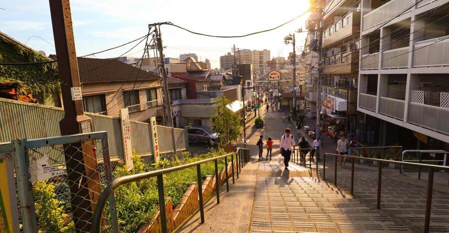 Yanaka District: Historical Walking Tour in Tokyo's Old Town - Nezu Shrine: torii gates, photos, and Shinto context first