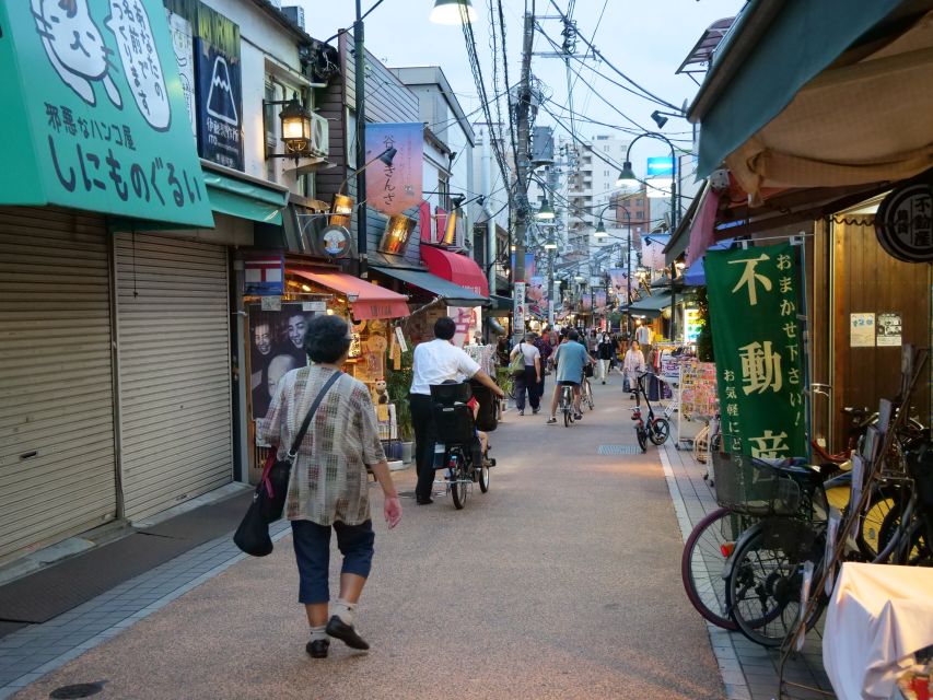 Yanaka District: Historical Walking Tour in Tokyo's Old Town - Pacing, weather, and what to wear for a comfy old-town afternoon