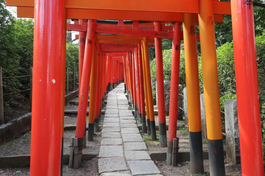 Yanaka District: Historical Walking Tour in Tokyo's Old Town - Getting oriented with a small group and a real guide