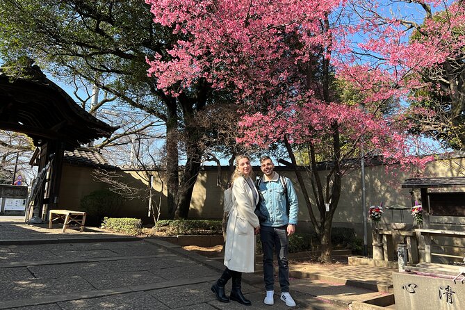 Yanaka Walking Tour: Historic and Traditional District of Tokyo - Who should book this tour, and who might want something else