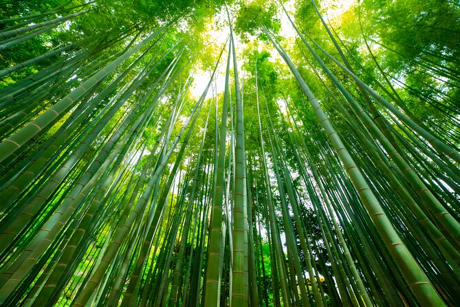 Yokohama and Kamakura Private Day Trip from Tokyo - Why Yokohama and Kamakura fit together so well in one day