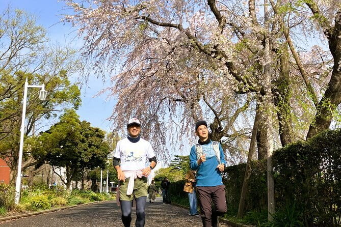 Yokohama Half Day Walking Tour with an Expert Local Guide - Sankeien Gardens: a Kyoto-style break inside Yokohama